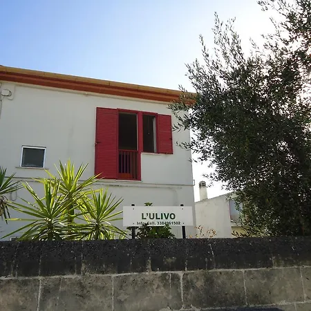 L'ulivo *