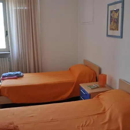 L'ulivo * Matera