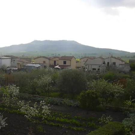 L'ulivo *